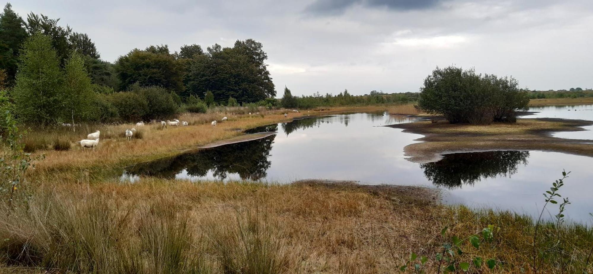 'T Prentenhokkie Stuifzand Bagian luar foto